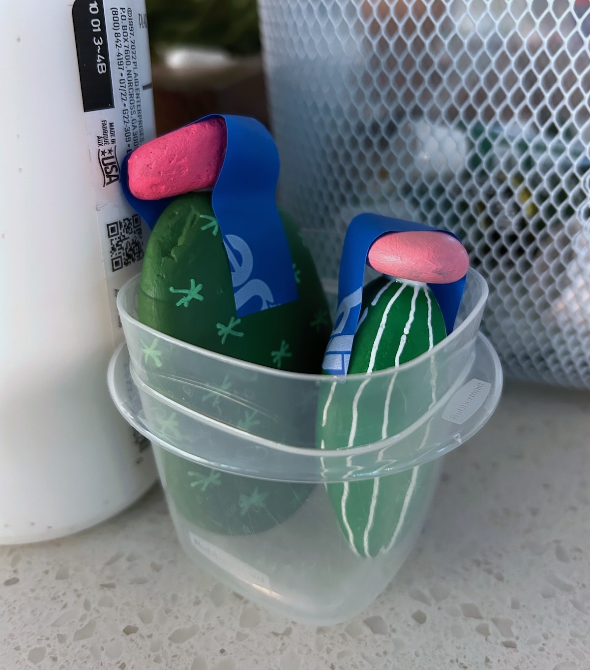 allowing the small cacti to dry with painter's tape