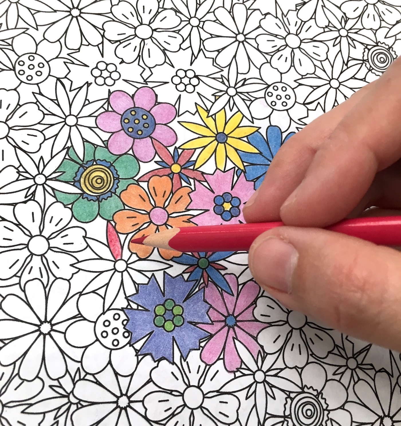 Coloring in a coloring page with colored pencils