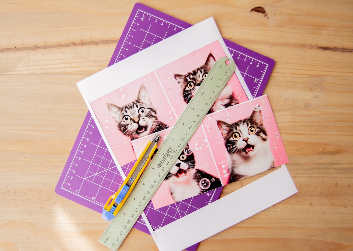 Cut the Design or Photos to Size