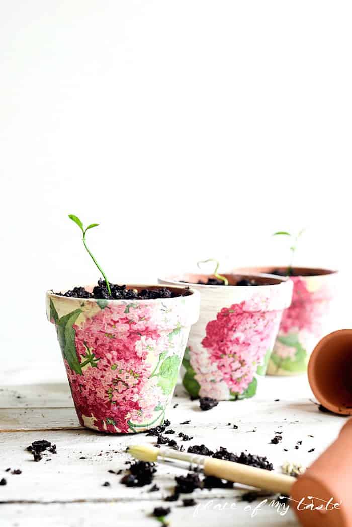Decoupage Flower Pots with Pretty Napkins