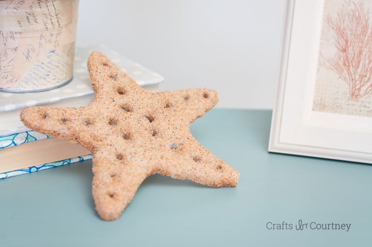 DIY star fish