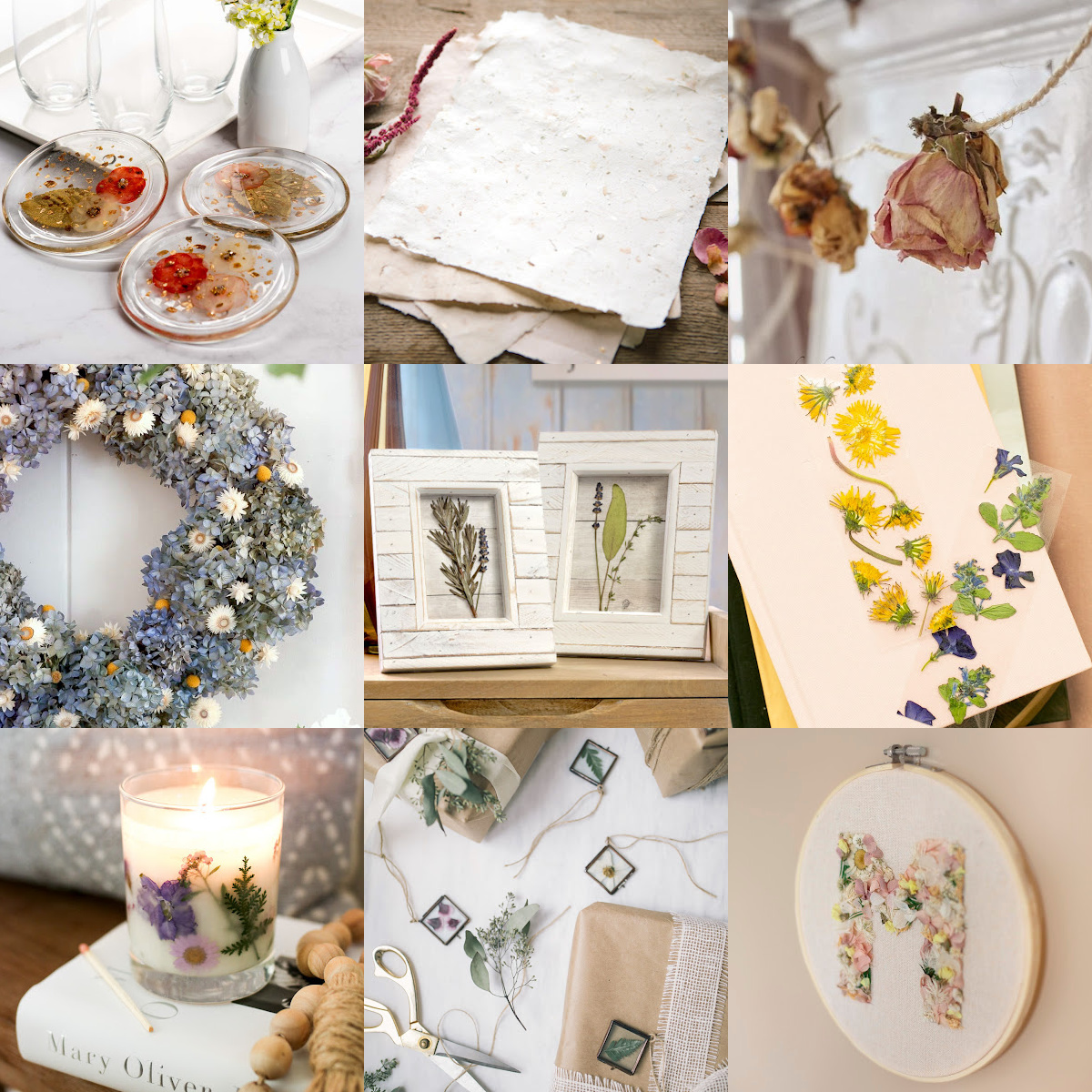Dried flower crafts to try feature image