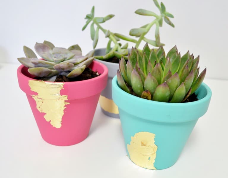 Easy Mod Podge gold leaf succulent planters
