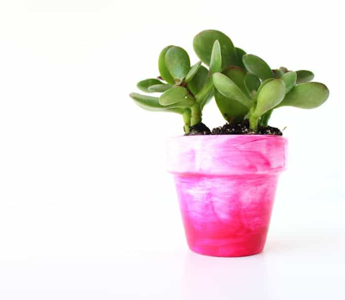 Use Mod Podge and acrylic paint to create a unique DIY planter with a faux glaze. It looks like beautiful, hand painted ceramic when done!