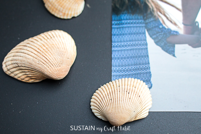 DIY Seashell Magnets