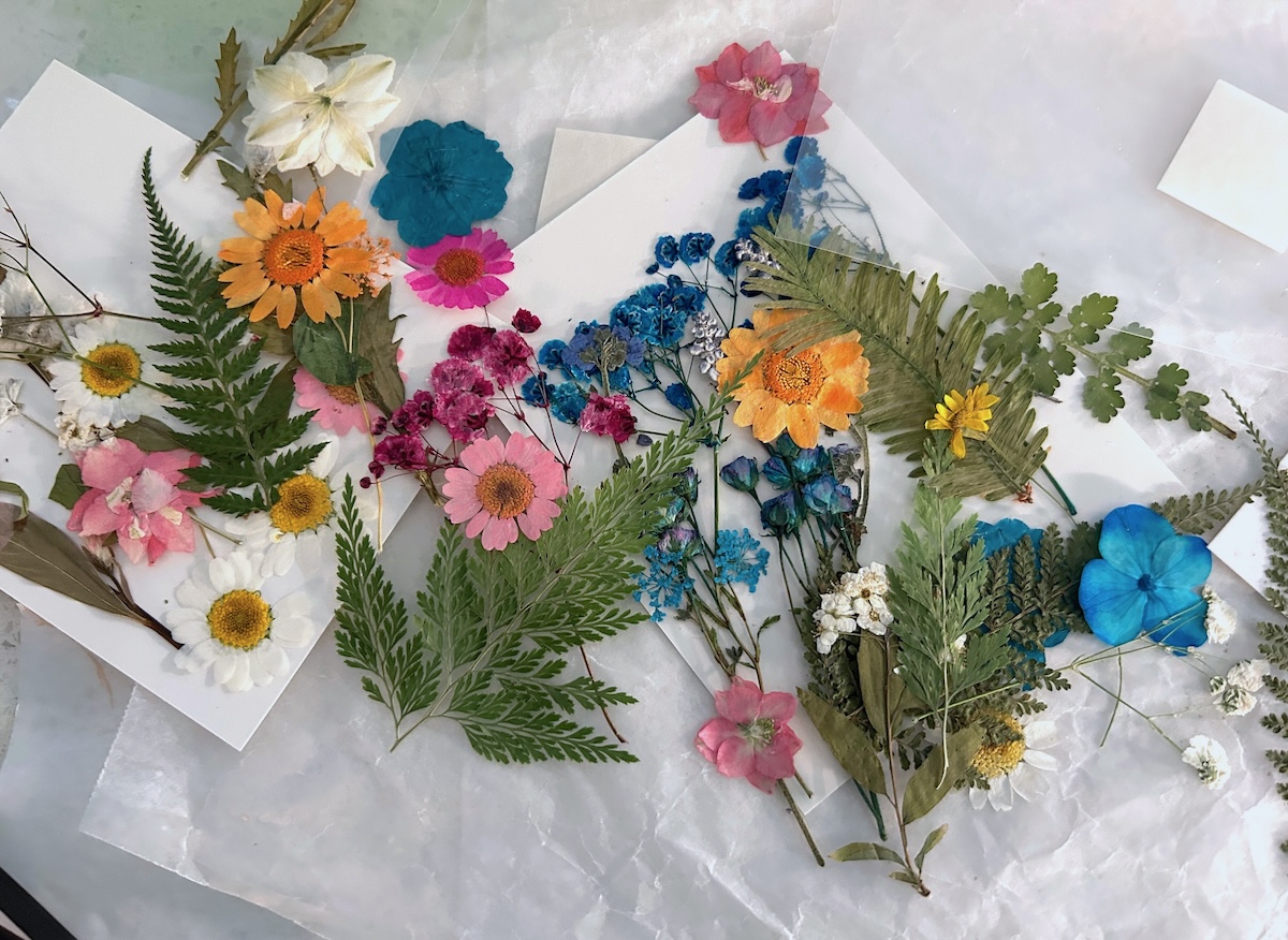 Laid out dried flowers on a surface