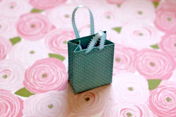 mini gift bag