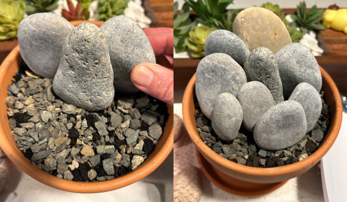 placing rocks in a terra cotta pot to test fit
