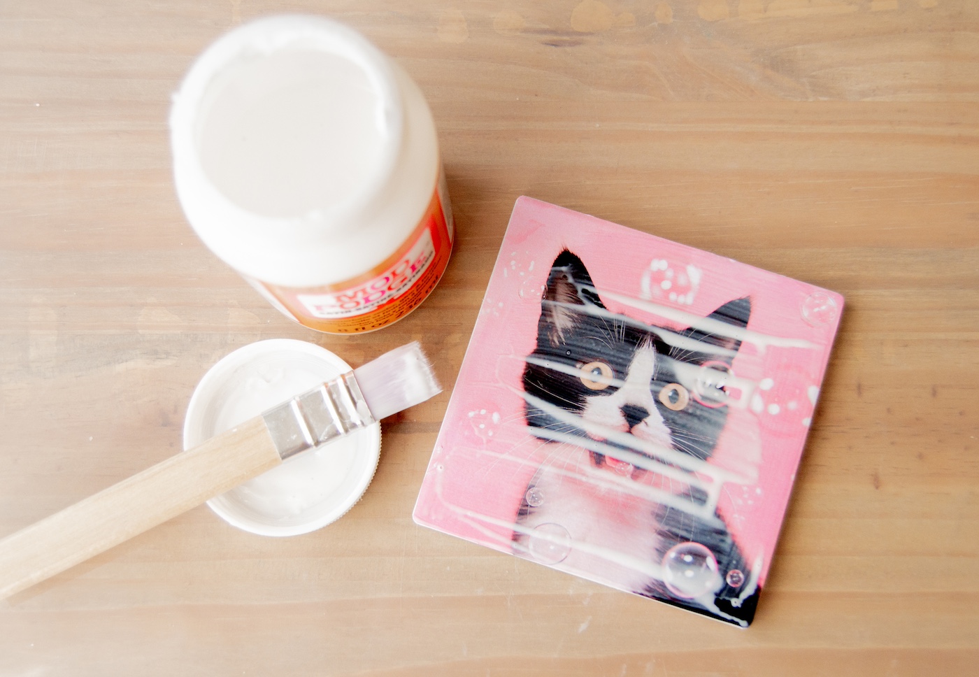 Seal Tile with Mod Podge
